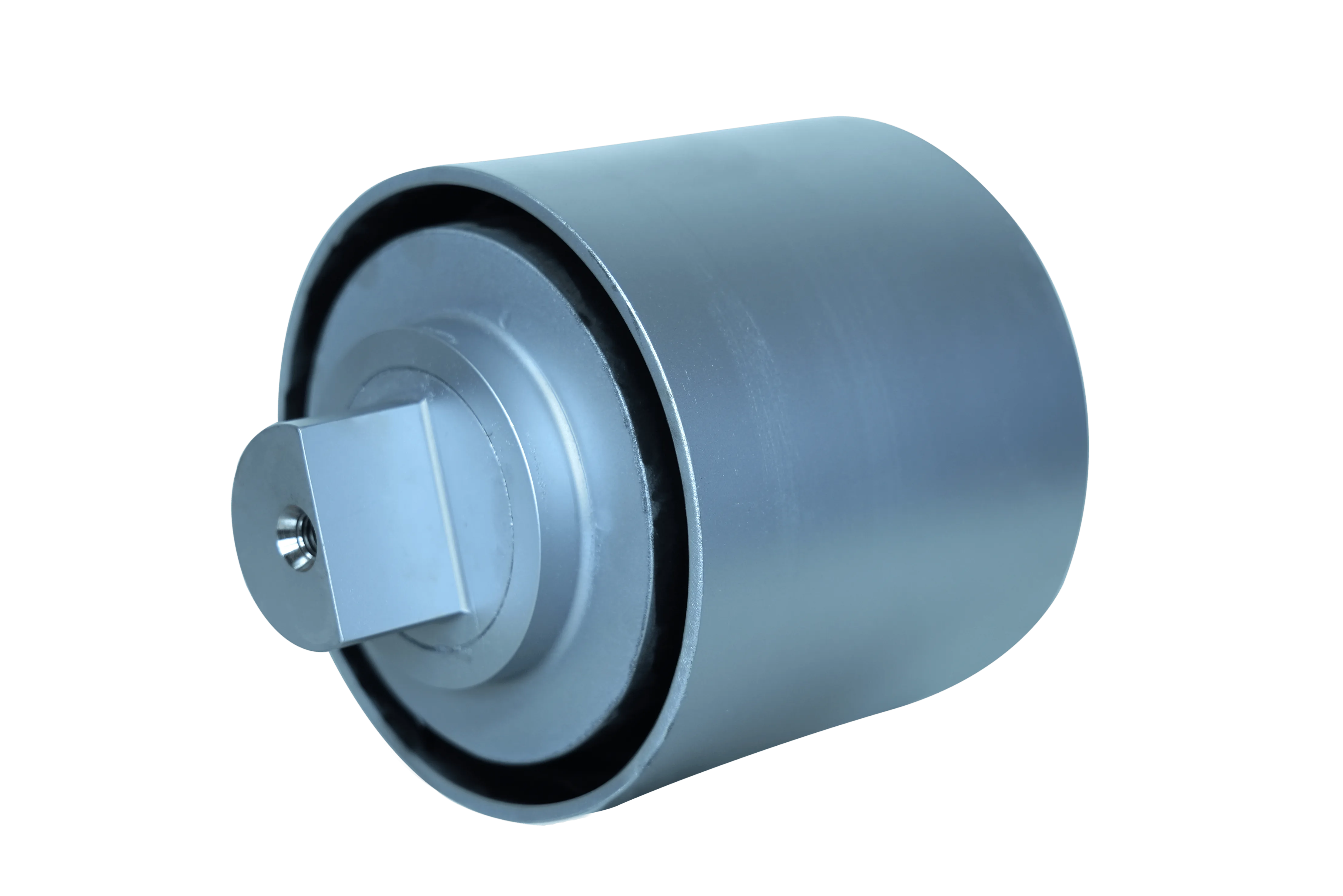 Primary Suspension Bush